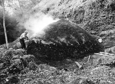  Image name: 26 Carbonai.jpg 
 width: 400 pixel 
 height: 292 pixel 
 Size: 32508 bytes 
 Click to enlarge 